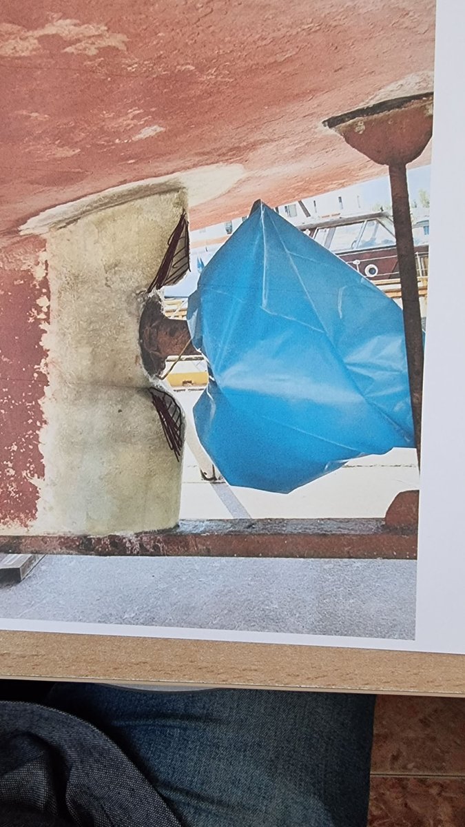 Imagen de Capitol 12 - 2021